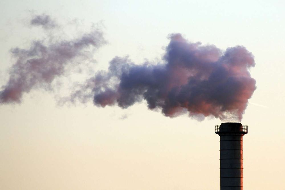 El proceso de conversión de residuos vegetales en biochar reduce significativamente los costos y el impacto ambiental del manejo de residuos.