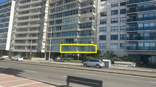 Borrazás remata apartamento en Pocitos.&nbsp;