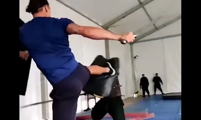 Zlatan Ibrahimovic y su video luchando