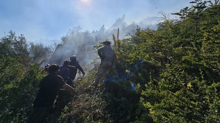 En el Parque Nacional Nahuel Huapi, las llamas quemaron más de 11.000 hectáreas. Hay focos activos en El Manso y Los Manzanos.