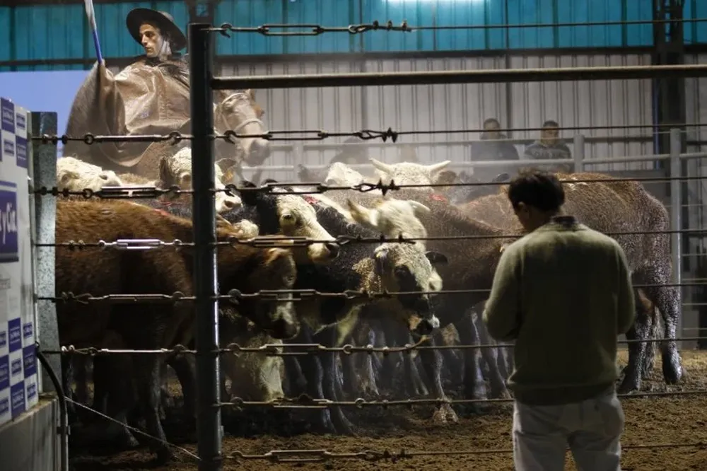 Remate a cargo del escritorio Valdez y Cía, con transmisión por ValdezTV.com