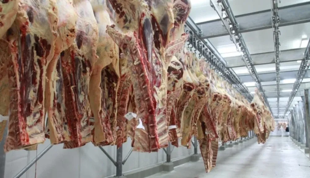 Procuran firmar en noviembre un convenio para vender carne por petróleo a Irán