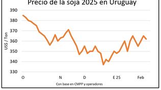 Lluvias y mercado de granos: los productores atentos al clima y a los precios.