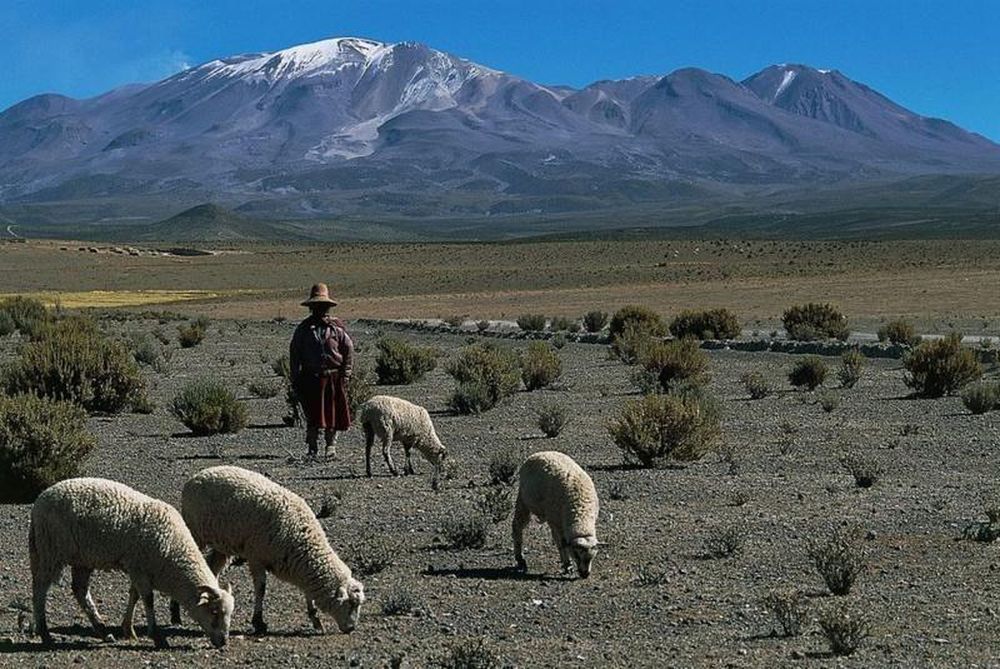 https://www.bbc.com/mundo/articles/ckgl2py64k3o