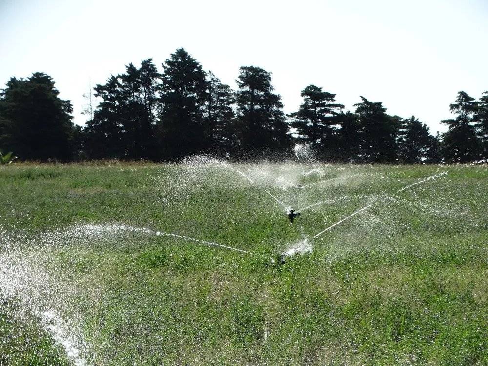Riego en pasturas para uso ganadero.