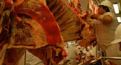 El Observador | 0007288897.webp