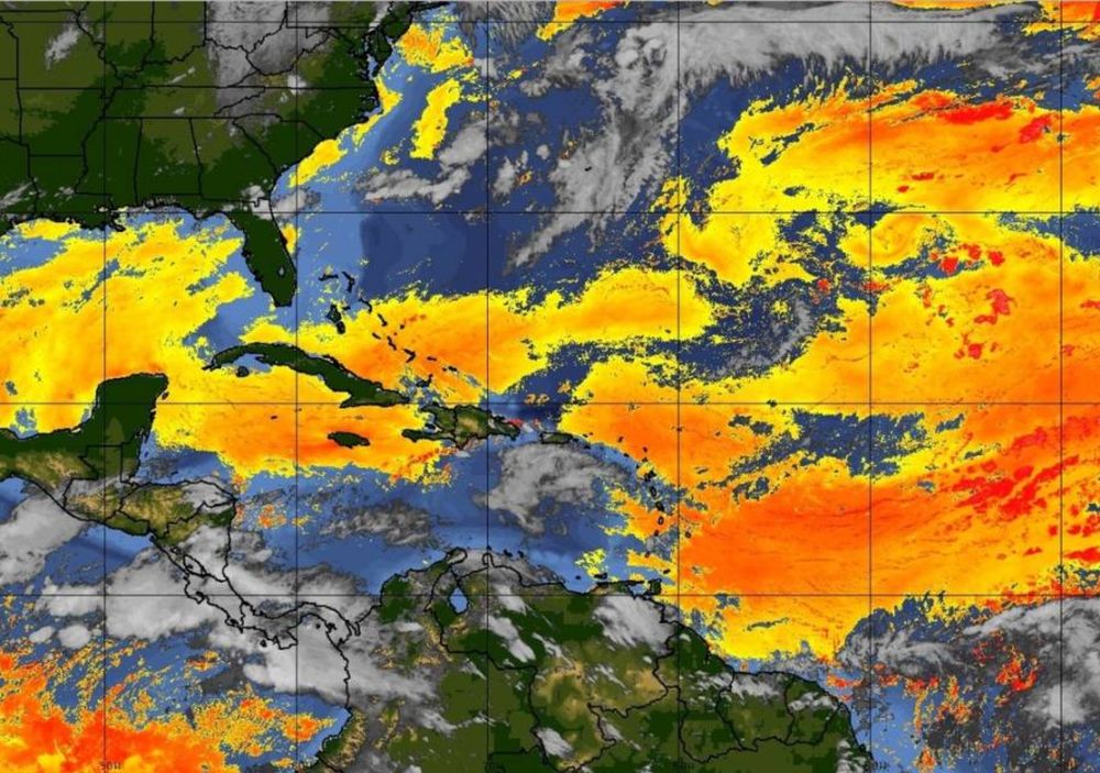 Bacterias y hongos del Sáhara llegan al sur de Europa.
