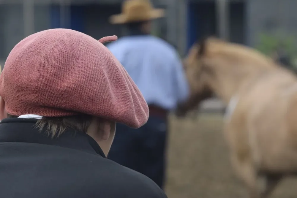 El MGAP mantiene todas las restricciones y recomendaciones de manejo con equinos.