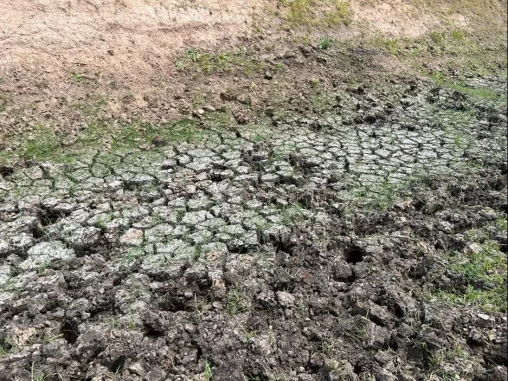 El campo sufre un déficit hídrico por tercer año consecutivo.