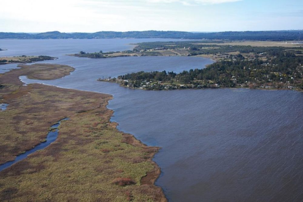 Ministerio de Ambiente﻿ por situación en Laguna del Sauce