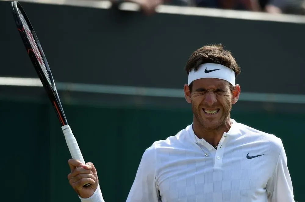 Del Potro se despidió de Wimbledon