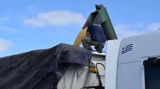 Soja: avanza la cosecha, a todo ritmo, aprovechando días sin lluvias.