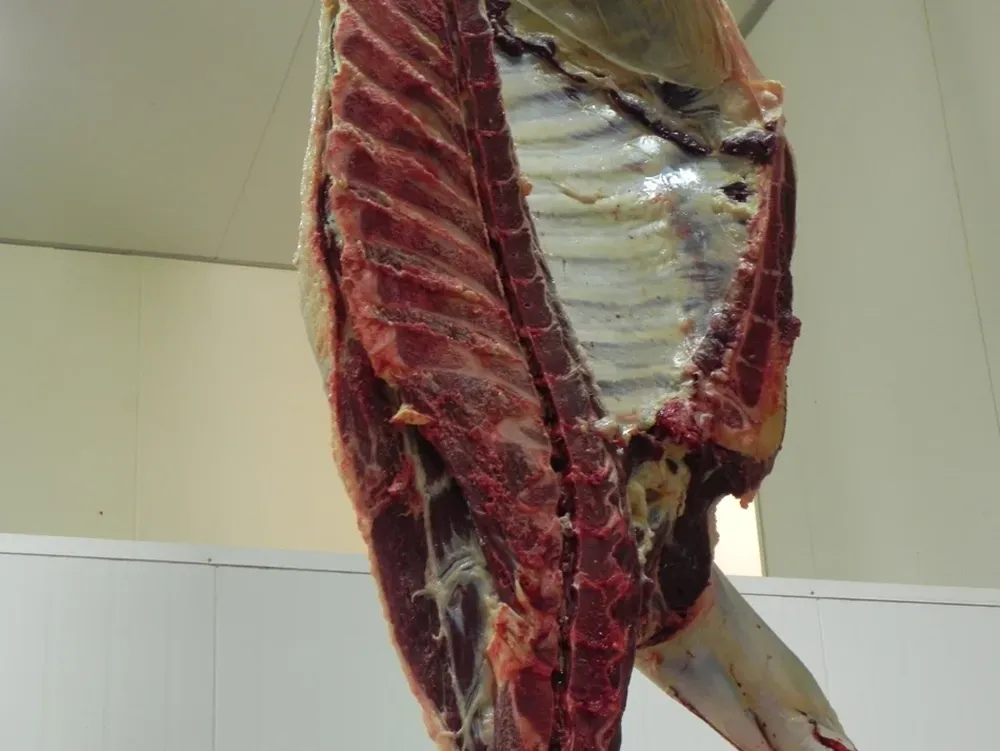 Nuevos puestos de trabajo en la industria cárnica