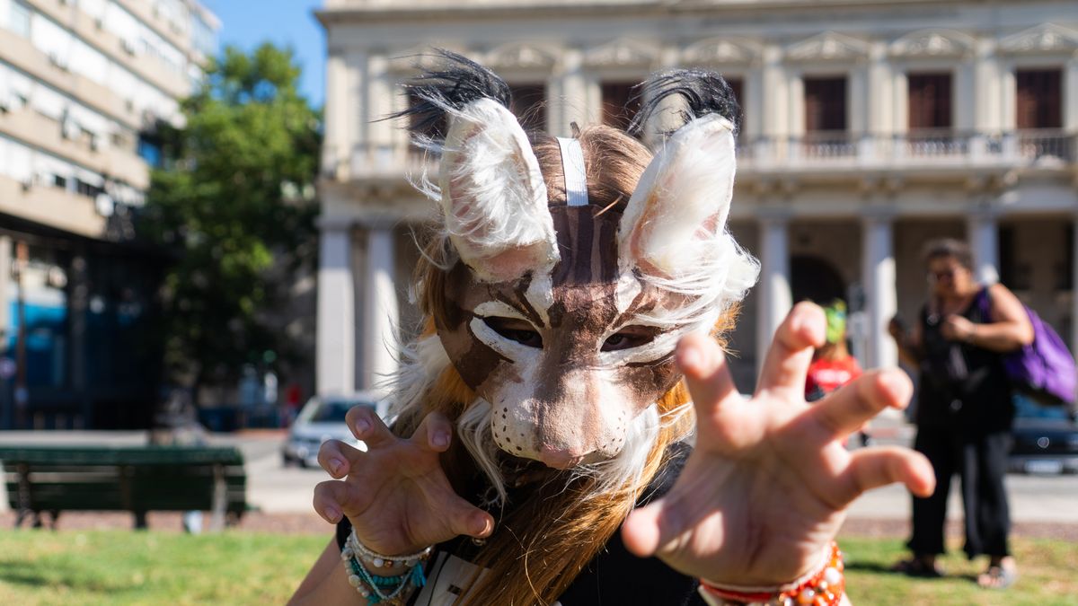 Imagen noticia completa