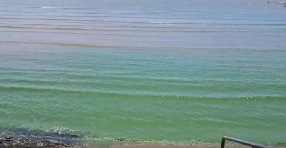 Así lucía la orilla de la playa Pocitos el domingo 29 de diciembre