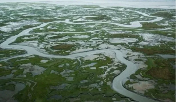 Alerta de tsunami por un terremoto de 7,9 en Alaska