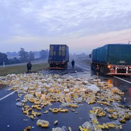Dos camiones con remolque provenientes de Brasil chocaron en Ruta 8: la ruta estuvo parcialmente obstruida