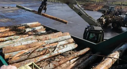 La extracción de madera registró el mayor aumento de precios mayoristas