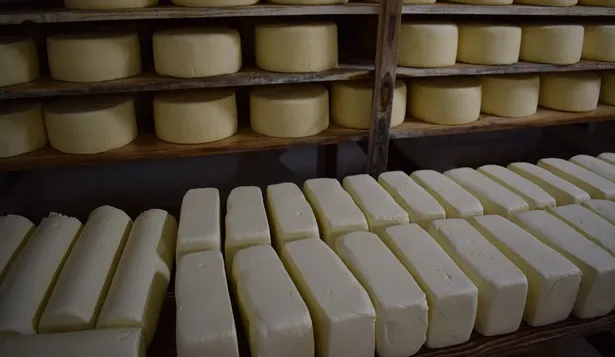 Quesos de exportación.