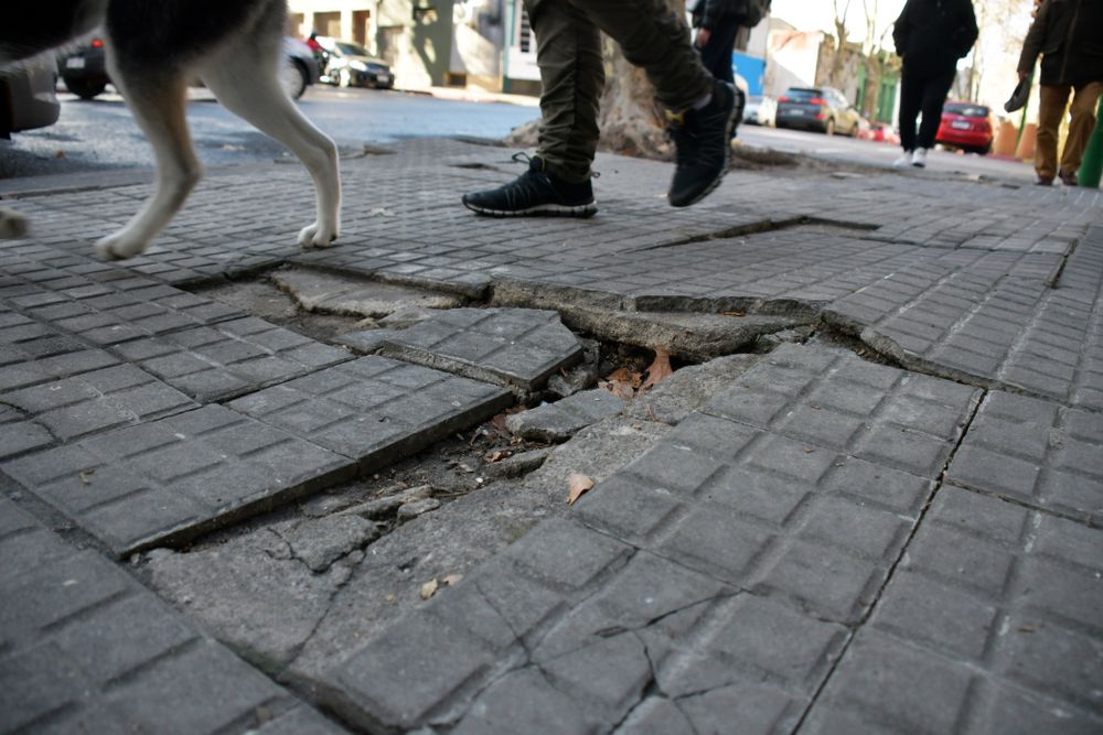 20220705 Veredas rotas, veredas en mal estado.