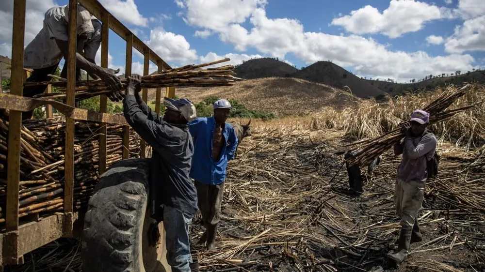 Apátridas de la isla La Española