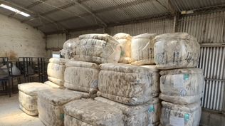 Uruguay: las lanas producidas teniendo como marco los emprendimientos del CRILU son una referencia de calidad con excelencia.
