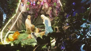 Imagen de Navidad y La alegría completa de Belén