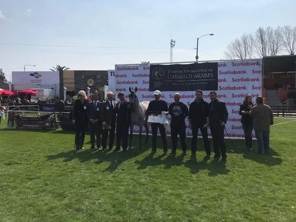 La Gran Campeona, hija del Excalibur Ea.