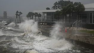 Olas en St. Petersburg, Florida