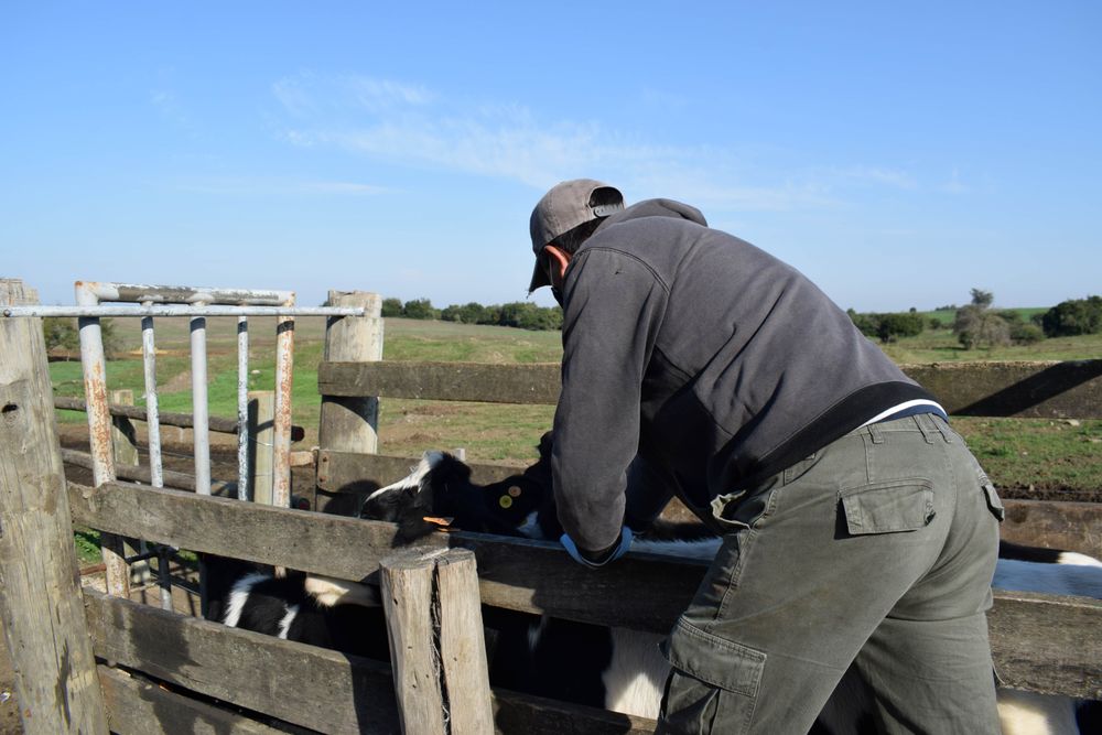 Federación Rural: puntualizaciones sobre el destino de los recursos del FIS.