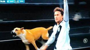 El perro y Sebastián Fernández