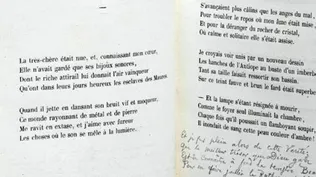 Estrofa inédita de libro de Baudelaire a subasta