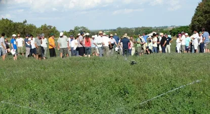 El Observador | 0004943942.webp