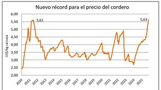 Cordero: ascenso de vértigo en el valor.