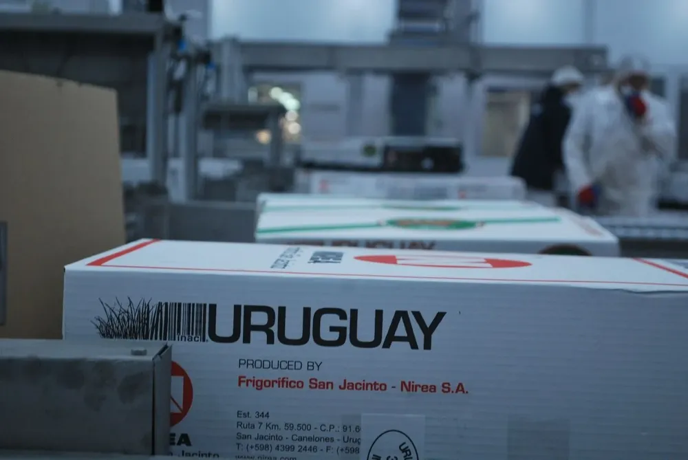 Exportaciones de carne ovina.