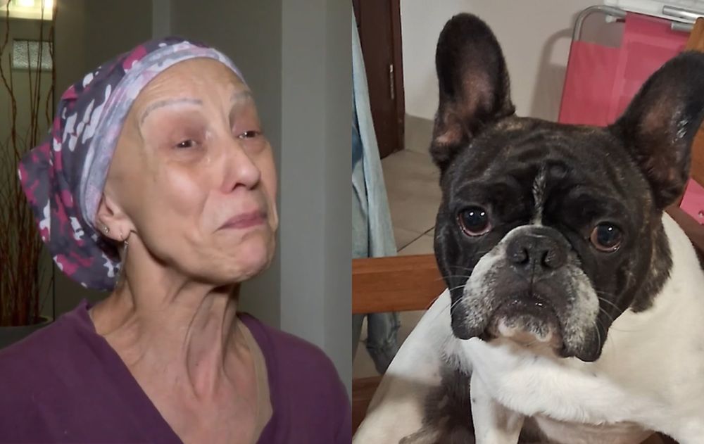Atacaron a una mujer y le robaron a su perro