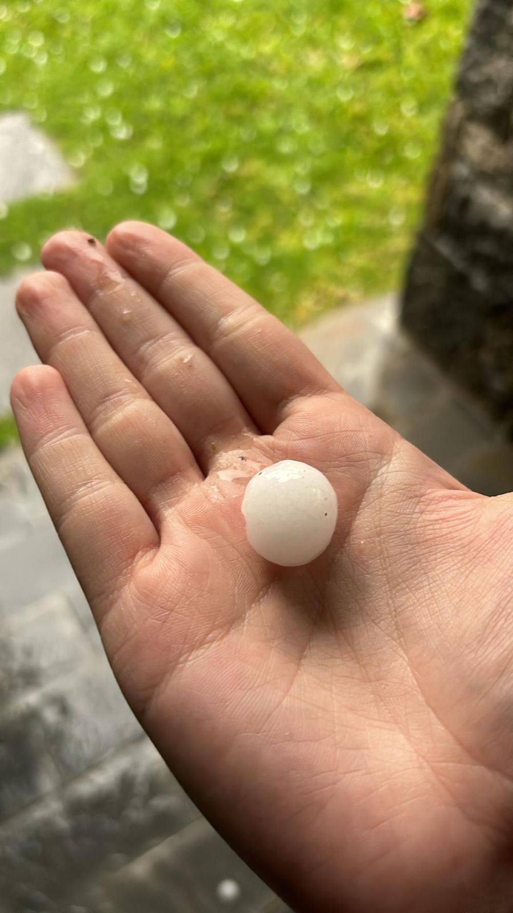 WhatsApp Image 2024-09-09 at 5.29.18 PM.jpeg