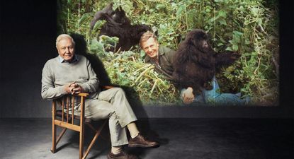 Un momento inolvidable durante la filmación de la serie "La vida en la Tierra", hace 50 años.