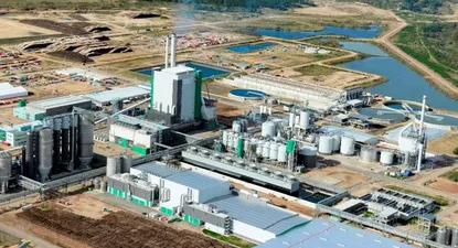 Montes del Plata alcanzará este mes su nivel de plena producción