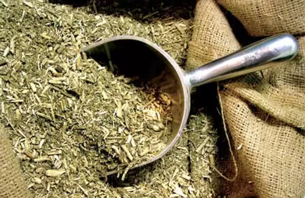 La desregulación del mercado de la yerba mate