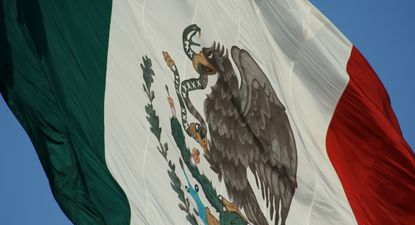 El Observador | México (2).jpg