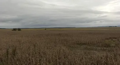 la erosion de la tierra tiene impacto acotado en el precio de campos