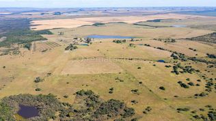 Iocco ofrece campo en paraje Paso de Melo, cercano a la frontera con Brasil