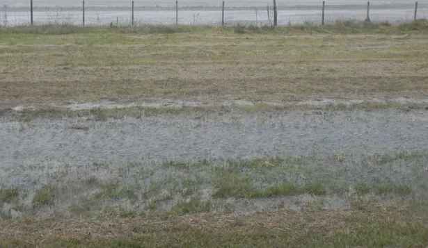 Inundaciones: varios casos en predios productivos en Rocha y Treinta y Tres.