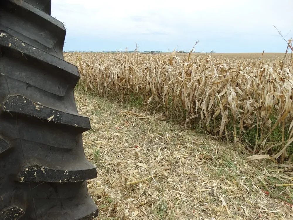 Campos de uso agrícola, en Soriano.