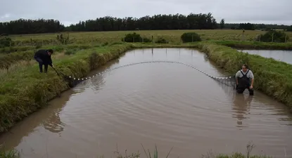 El Observador | 1561150641567.webp