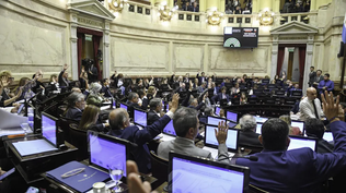 Ficha limpia: la ley que divide al Senado y se juega entre negociaciones y tensiones internas