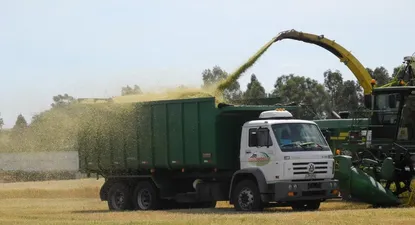 Los granos lideran las exportaciones del sector agropecuario