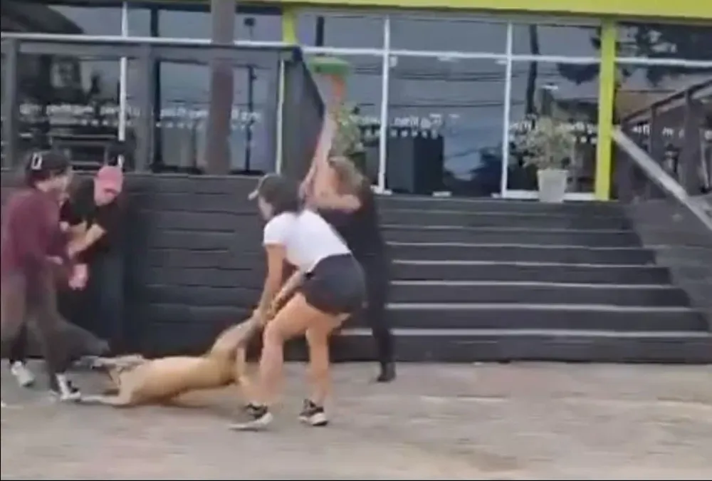 Brutal pelea de perros en Punta del Este.