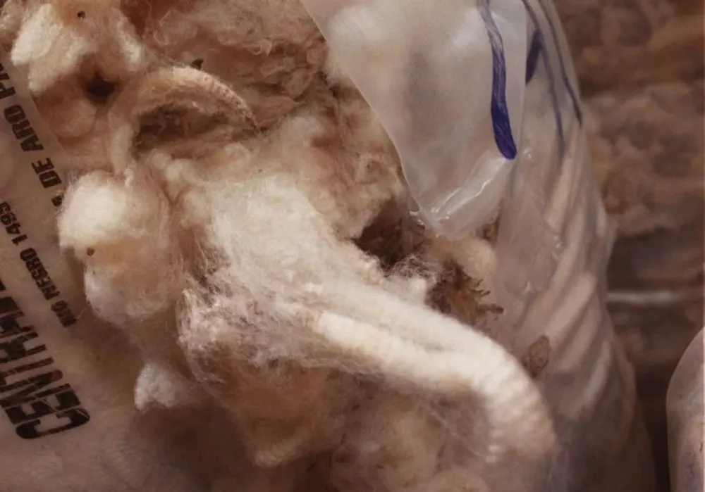 Mercado lanero: nuevas referencias de negocios locales.